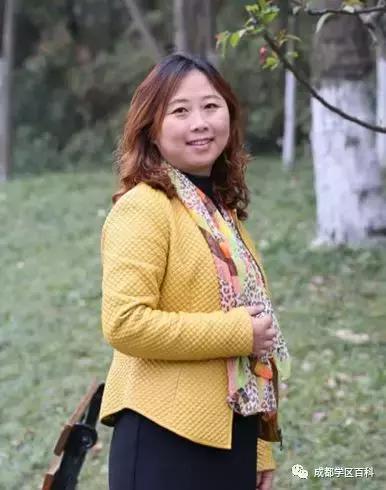 成都学区地图,金牛万达学区划分