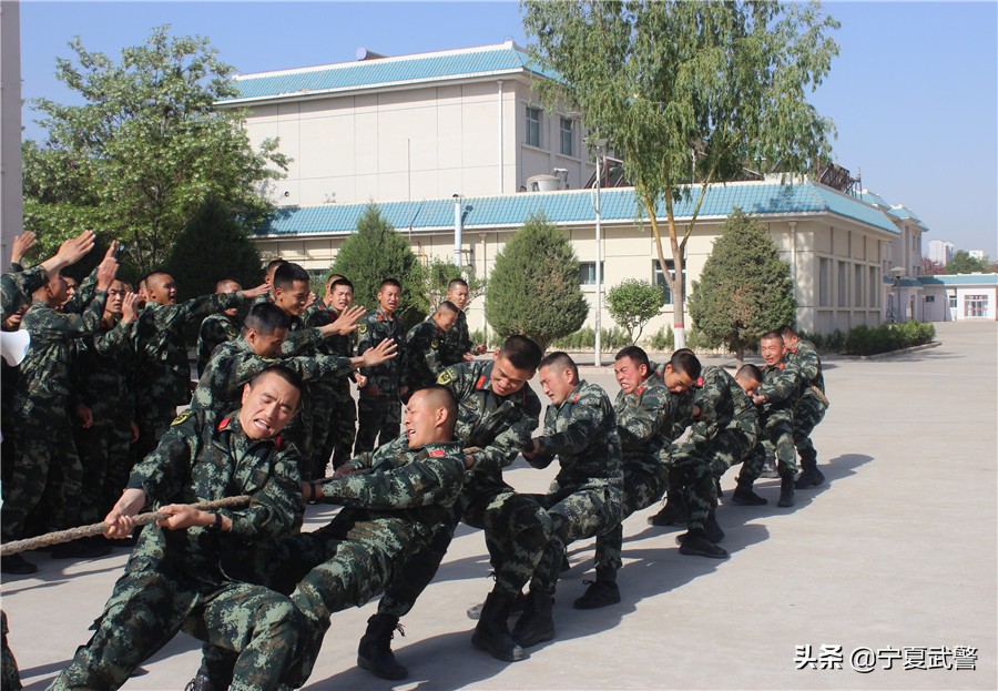 节日活动安排及策划,节日活动简介