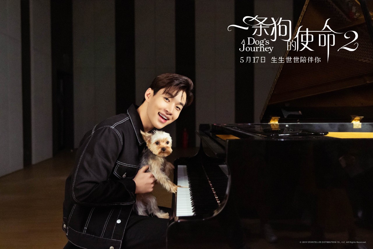 刘宪华电影一条狗的使命初吻视频,刘宪华在一条狗的使命里说的中文