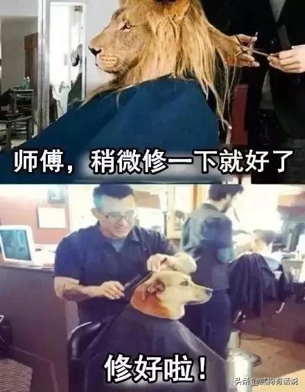 托尼老师的真实事件,托尼老师的行业内幕