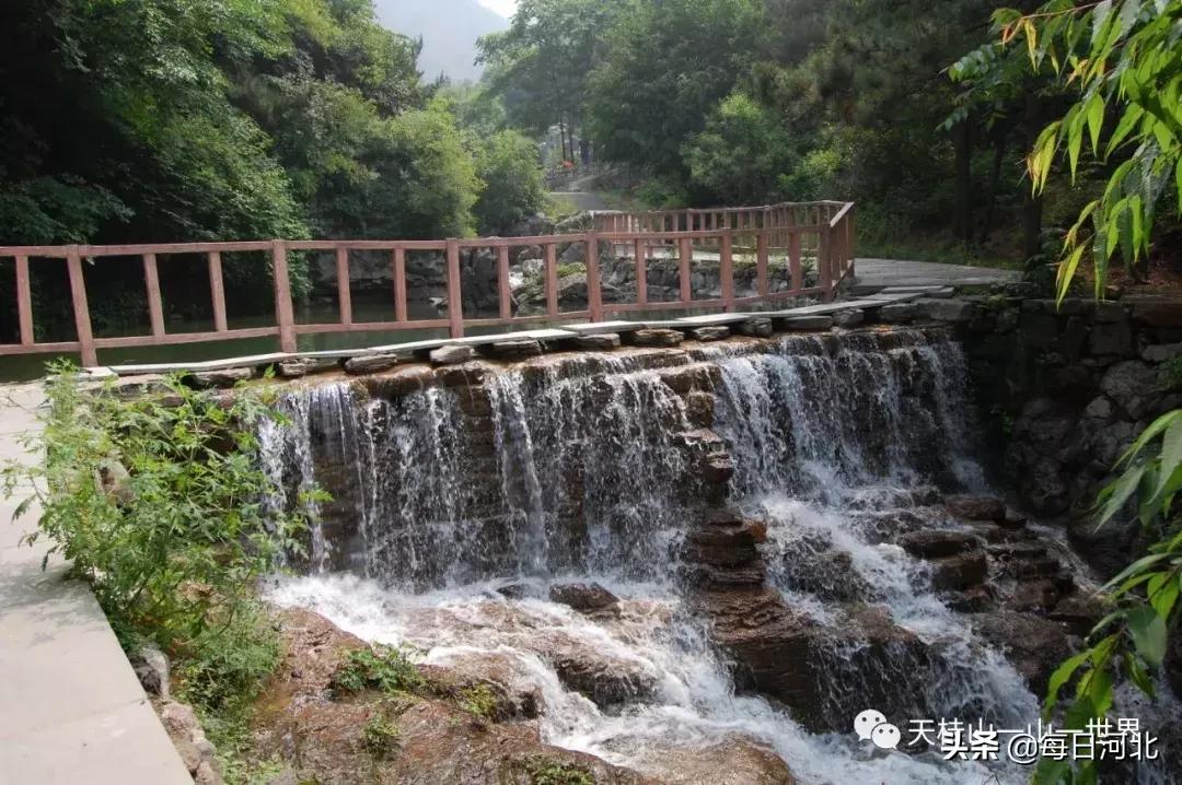 清凉夏日一起游玩,清凉夏日的奇幻邂逅