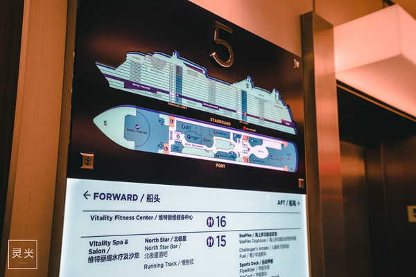 5天4夜海上盛宴,5天4夜游轮攻略