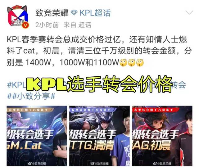 kpl转会期cat价格,kpl初晨转会期