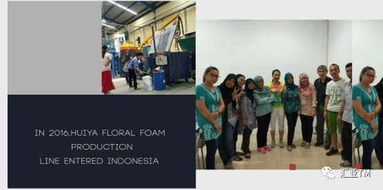 「品牌档案」汇亚·中国花泥行业优质品牌