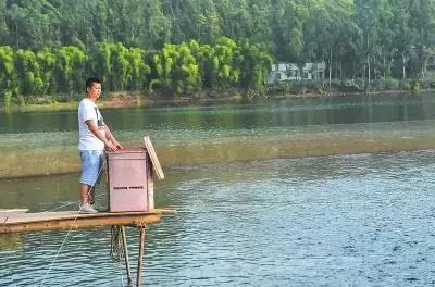 池塘属于什么生态系统,水产养殖生态系统