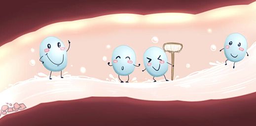 益生菌牛初乳蛋白粉对头发有用吗,益生菌蛋白质粉能提高免疫力