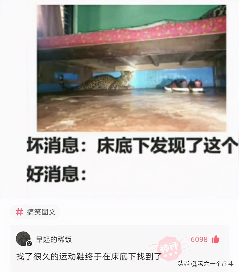 那些让你笑出猪叫的小说,三十个让你爆笑的神回复