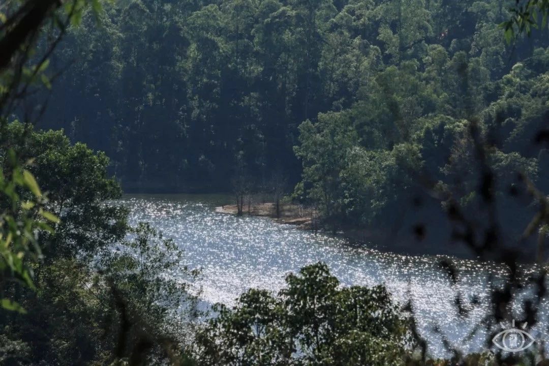 深圳游玩好去处攻略,深圳7个自驾游免费好去处推荐