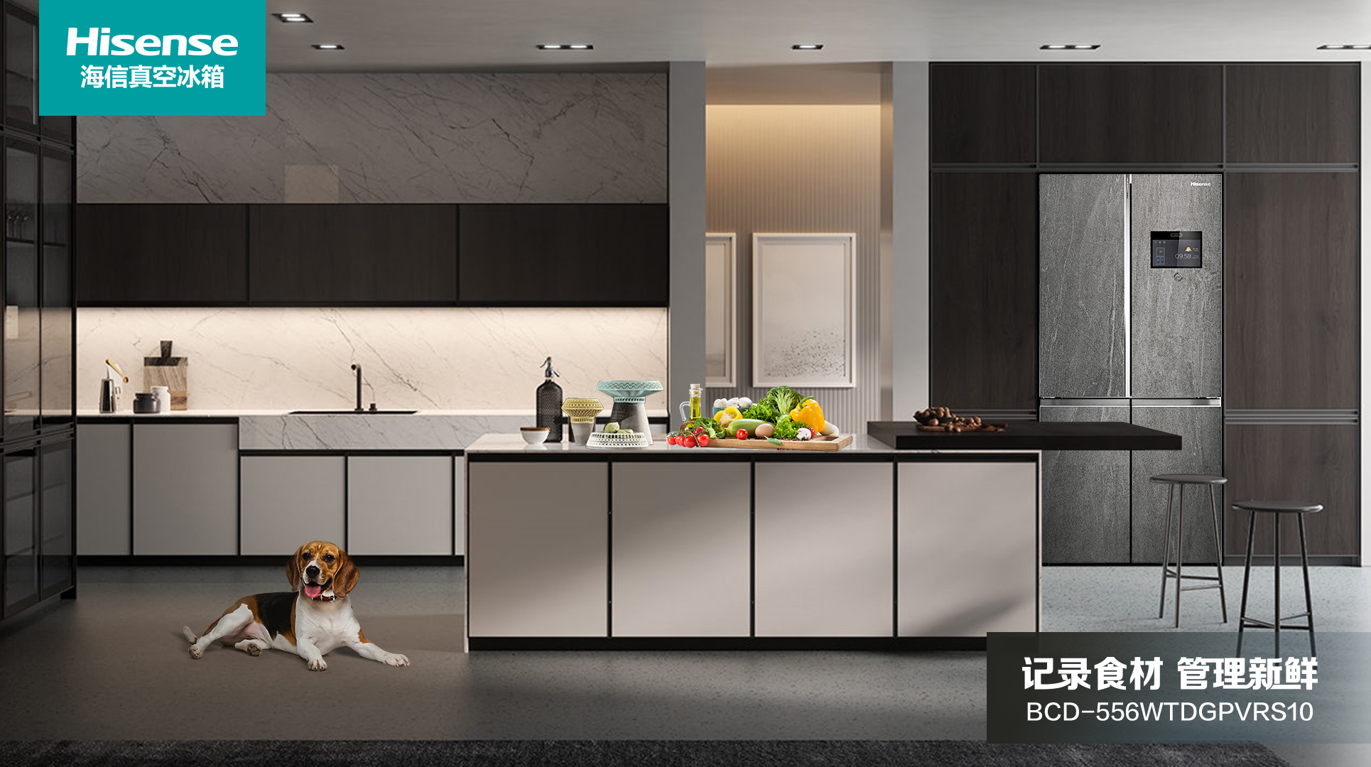 新飞冰箱与海信冰箱哪个质量好,海信真空全嵌503冰箱