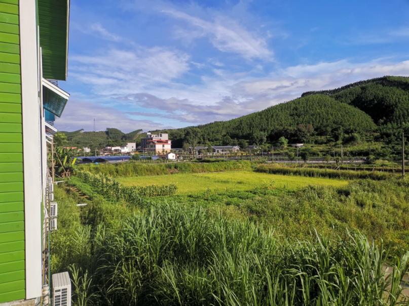 云端设计丽水,云端设计系统