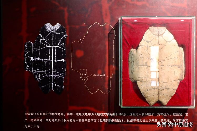 安阳殷墟遗址最著名的是什么遗址,安阳殷墟宫殿宗庙遗址讲解