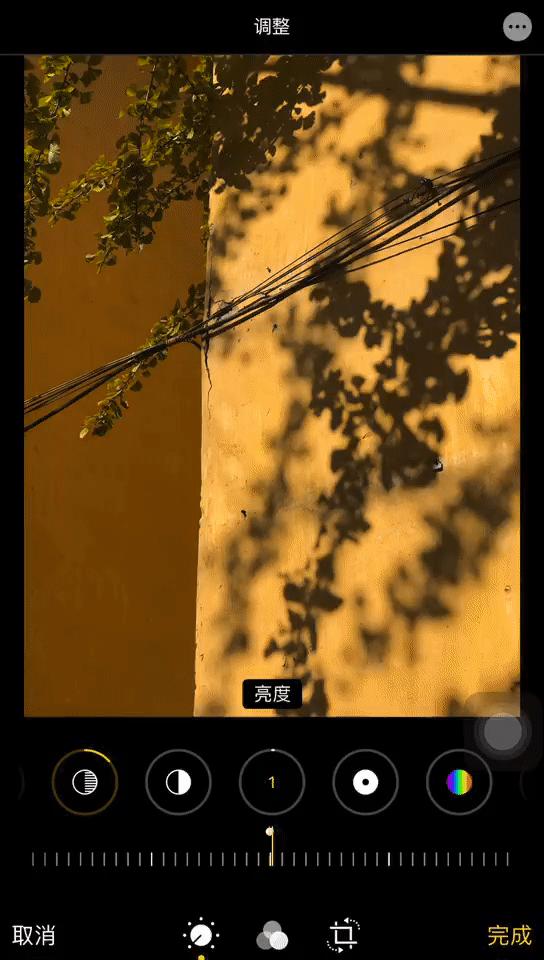 真羡慕那些拍照不用修图的女孩子,为什么那么多人喜欢iphone拍照