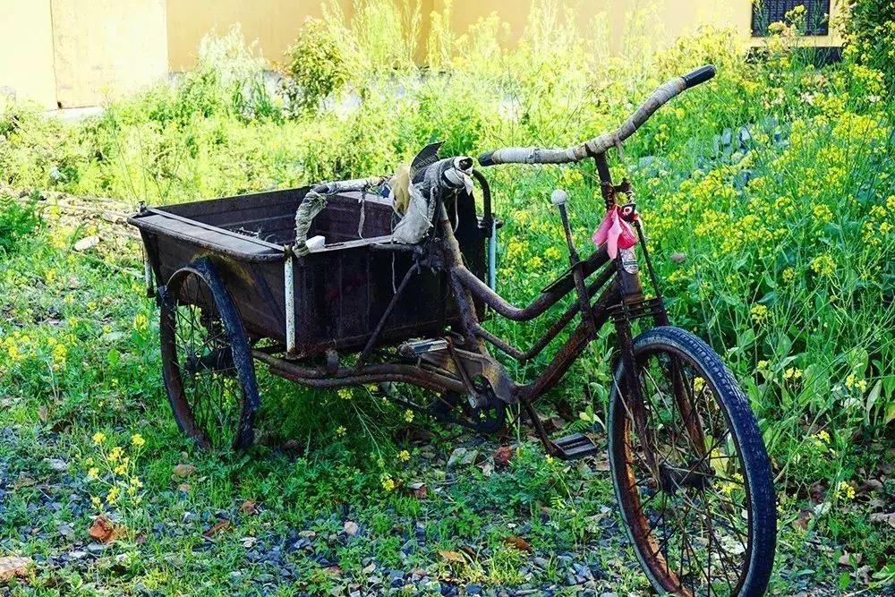 去上海必去的民宿,上海树林民宿推荐