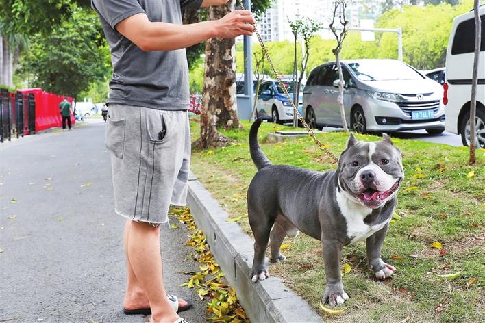 瀹犵墿姝讳骸澶勭悊鏈烘瀯,瀹犵墿閬椾綋鍠勫悗澶勭疆鐩戠鍔炴硶