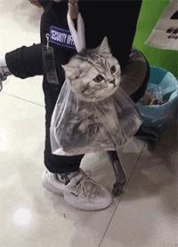 回家的路上看到这么多钱，背包都装不下啊，现在该怎么办