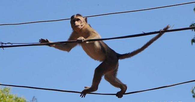 多名游客被雷击倒地,印度三名男子避雨被雷劈死