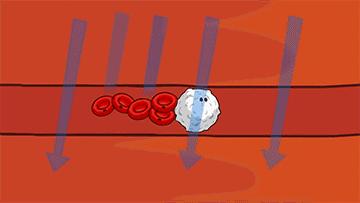 瘦贵人奥利司他胶囊怎么样,臻瘦奥利司他胶囊真的能瘦吗