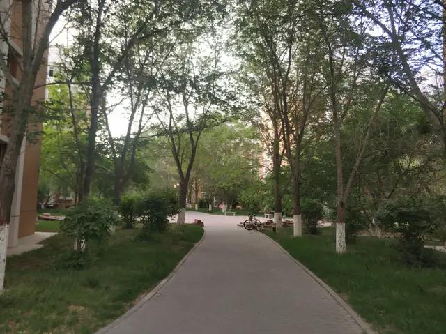 绿地城二期绿化乌鲁木齐,乌鲁木齐中海万锦公馆绿化环境