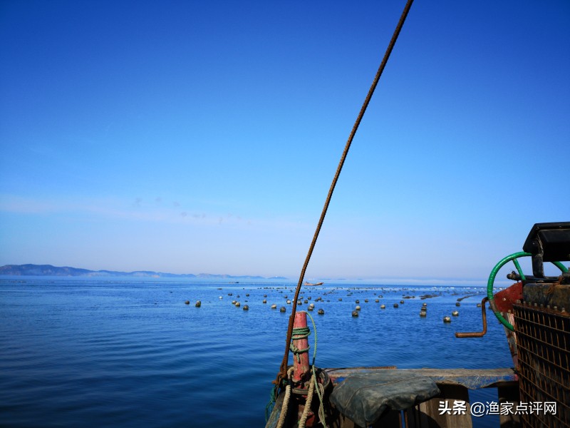 大连这个小岛不去看一看，真的会后悔