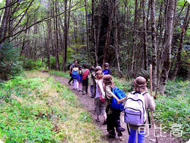 能让小孩增高的方法,能让儿童快速长高的方法