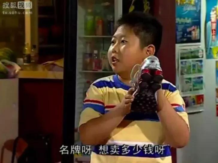 家有儿女刘星家到底是多有钱 (家有儿女刘星家庭有多有钱)