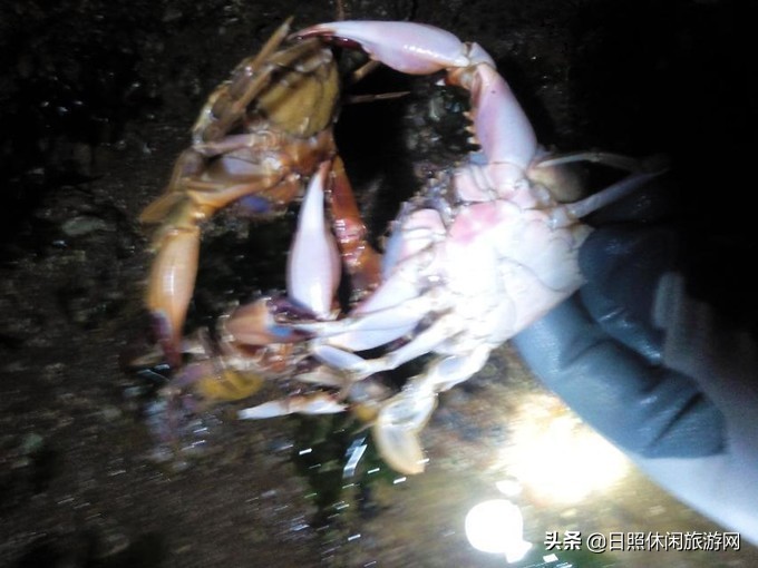 日照赶海之旅,日照冬季赶海旅游去哪里最好