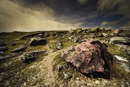 物种起源达尔文,物种起源讲解