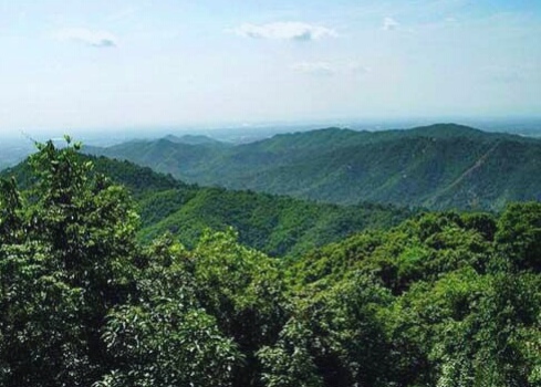 广州市区最高峰帽峰山,广州帽峰山森林公园高清标准图片