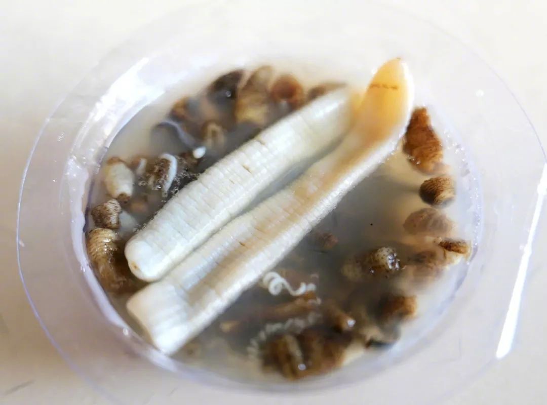 福建最值得一吃的美食,值得特意去吃的美食