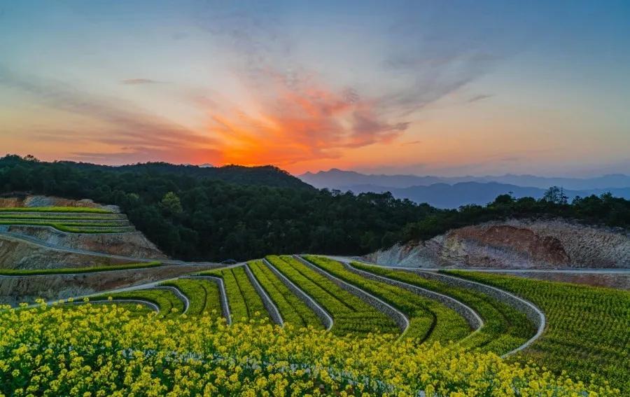 台州藏在深山里的世外桃源,台州家乡春天的美景