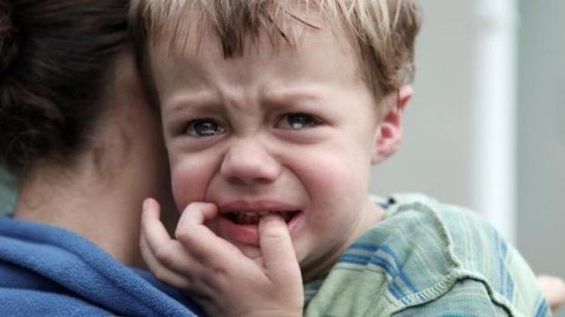 一岁多的宝宝总是爱粘人,一岁半宝宝性格内向如何引导