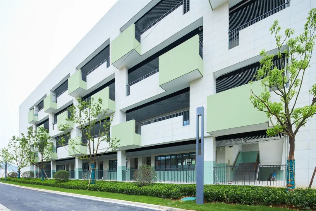 南京外国语仙林分校华侨城小学,南京仙林分校华侨城小学怎么样