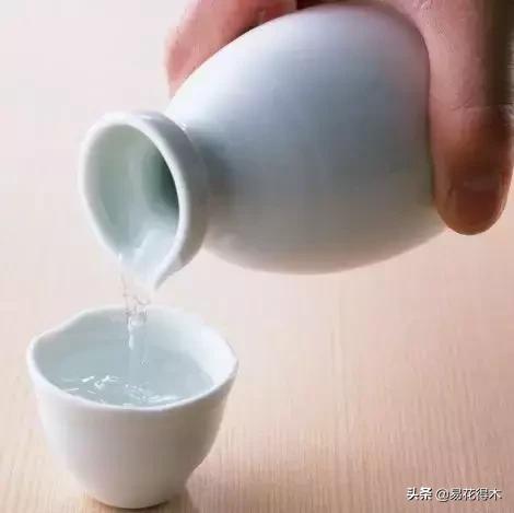 盆栽小黑飞虫怎么治,盆栽有小飞虫怎么处理