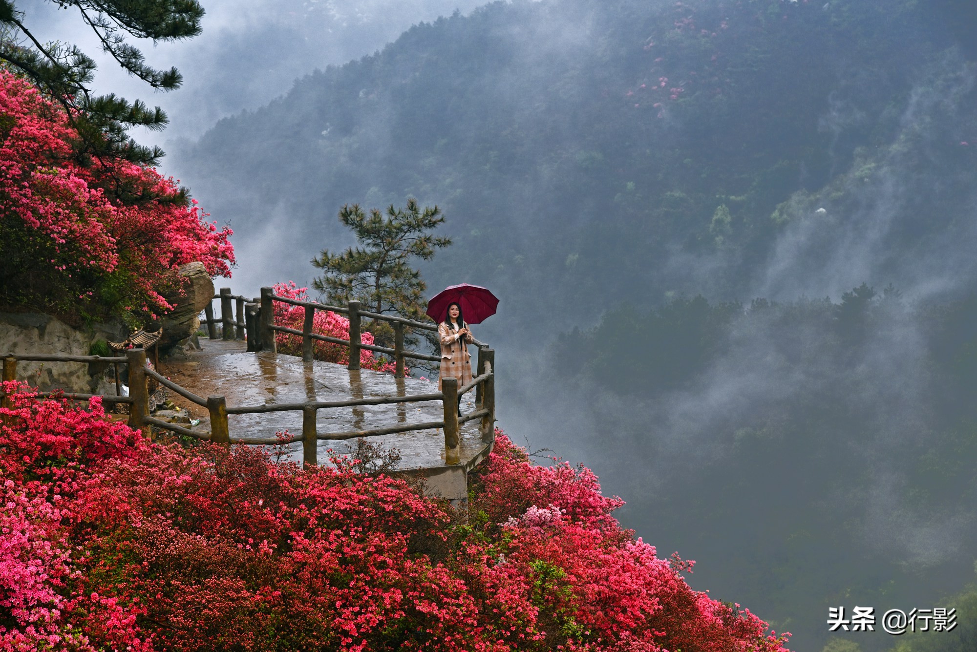 武汉云雾山风景区有什么好玩的,武汉云雾山游玩攻略