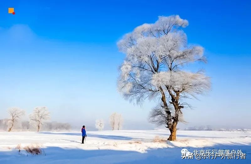 冬天漠河白桦林童话世界完整视频,冰雪大世界长白山雪乡六天五晚