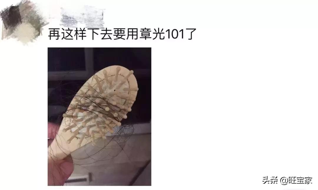 生娃是罐秃顶剂,从此我变成了裘千尺
