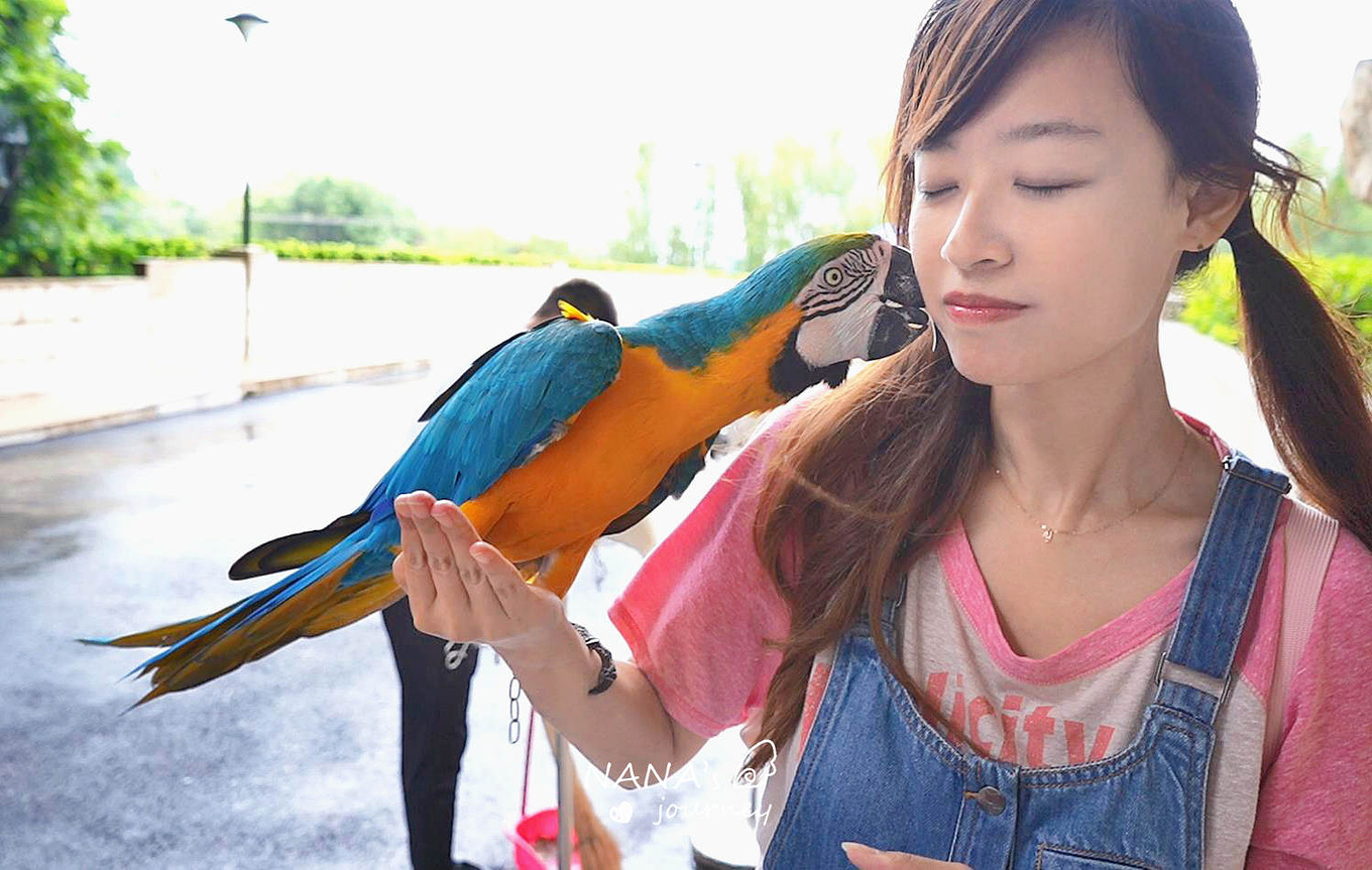 欢乐谷刺激的项目,欢乐谷最刺激的娱乐项目