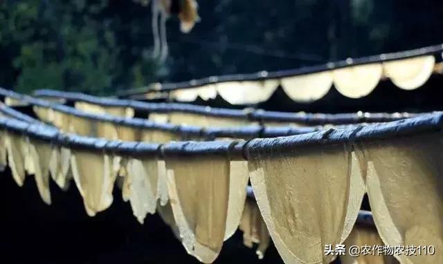 农村无本钱创业22种方法,农村创业100种商机