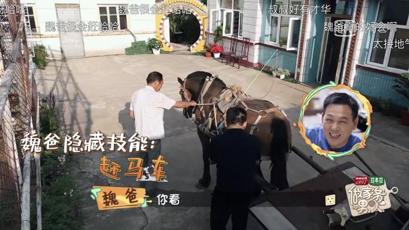 魏大勋孟宴臣圈粉多少,魏大勋最近新综艺节目