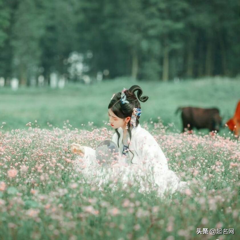 清新唯美网名女生,文艺唯美的两个字网名简约好听
