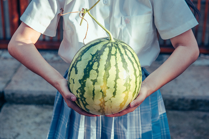 中秋嘉兴玩的地方推荐,八月嘉兴