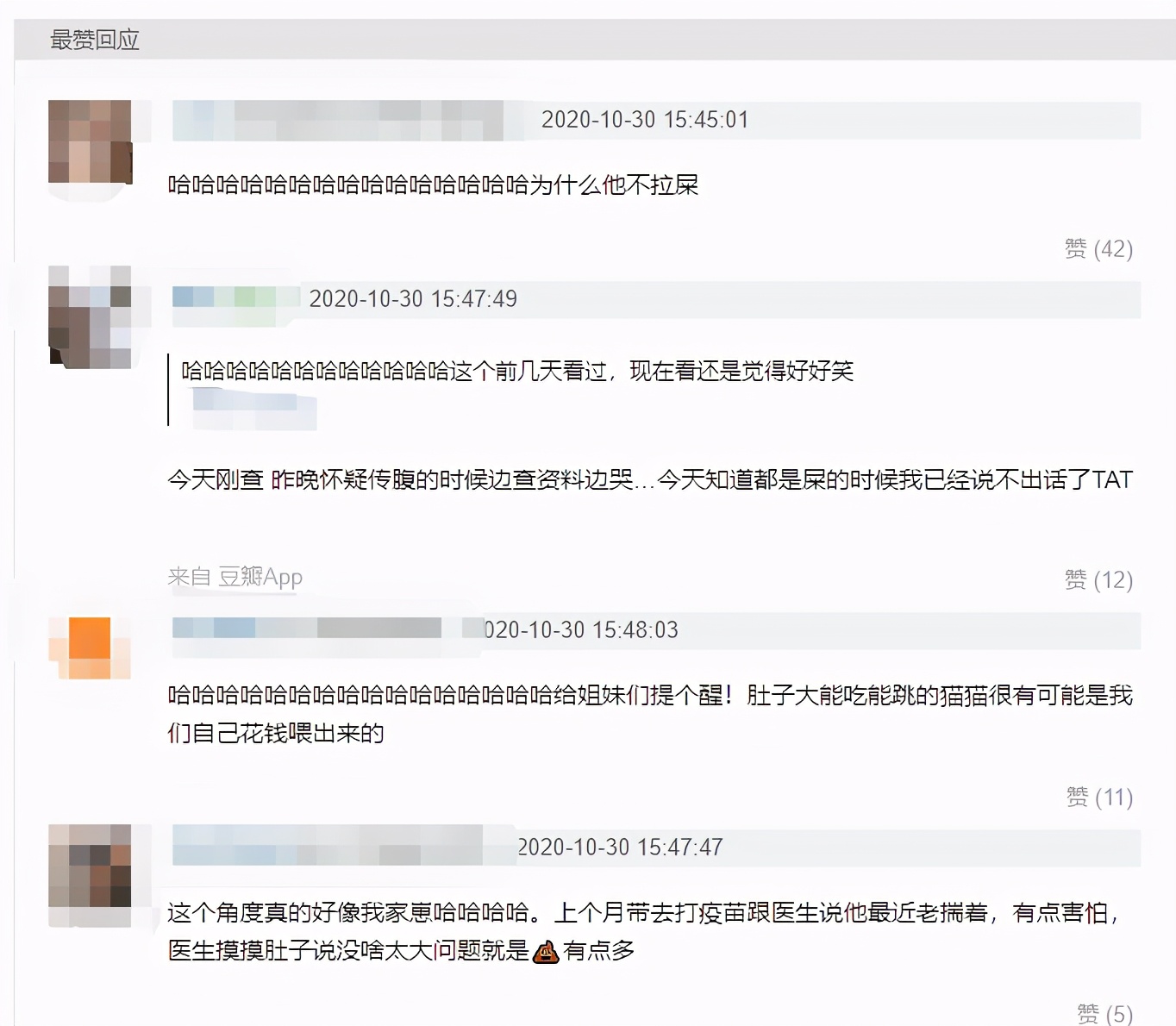 万万没想到被骗的这么惨，我们家猫怀了一肚子屎