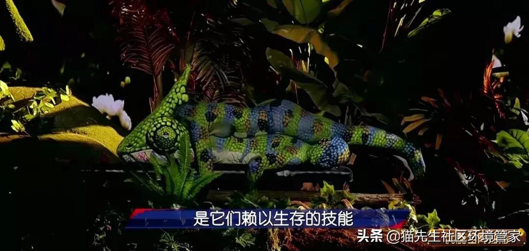 疯狂的裸体彩绘|这世间事十有八九都与垃圾分类有关