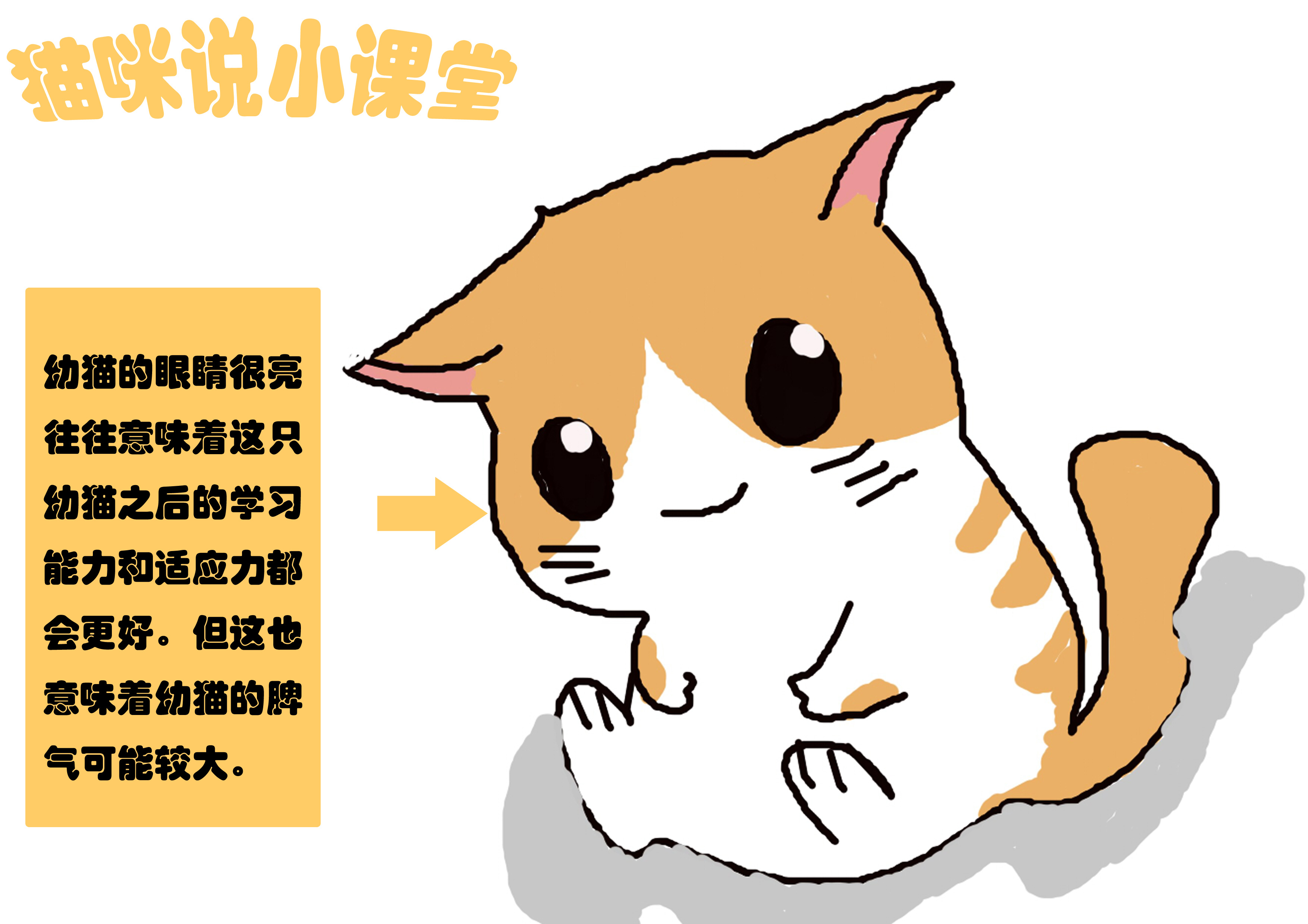 聪明小猫的特点,聪明小猫的智力有多高