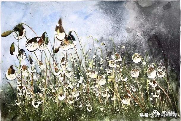 艺憬缘画集：将水彩画推向极致