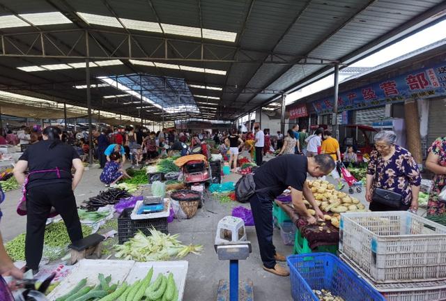 带妈妈去青城山避暑,陪父母游四川青城山