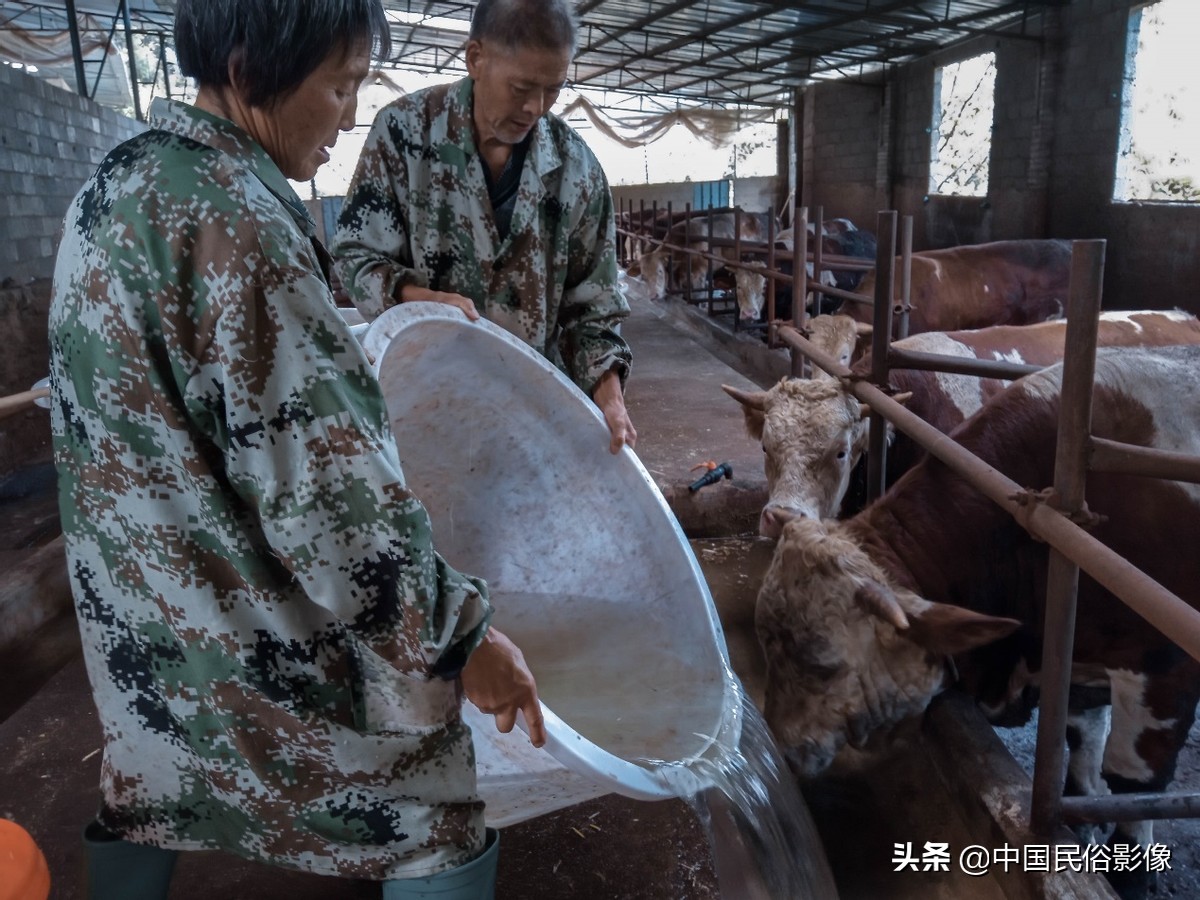 古稀之年爷爷身患肠炎却不治疗，只为孙子能够早日回家