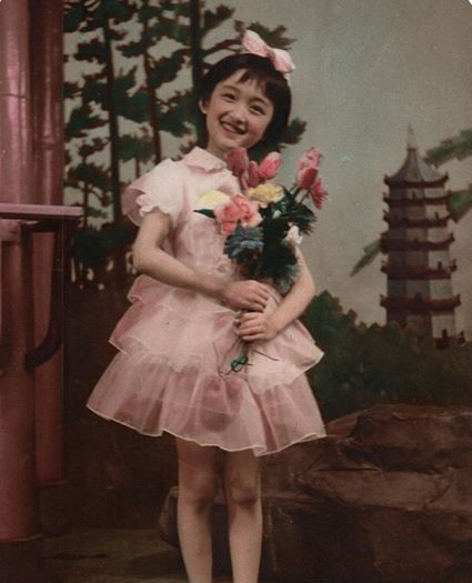 杨钰莹八卦故事,杨钰莹的故事简介