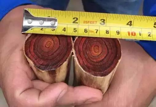 名贵红木家具价格表,哪种木材的红木家具最贵