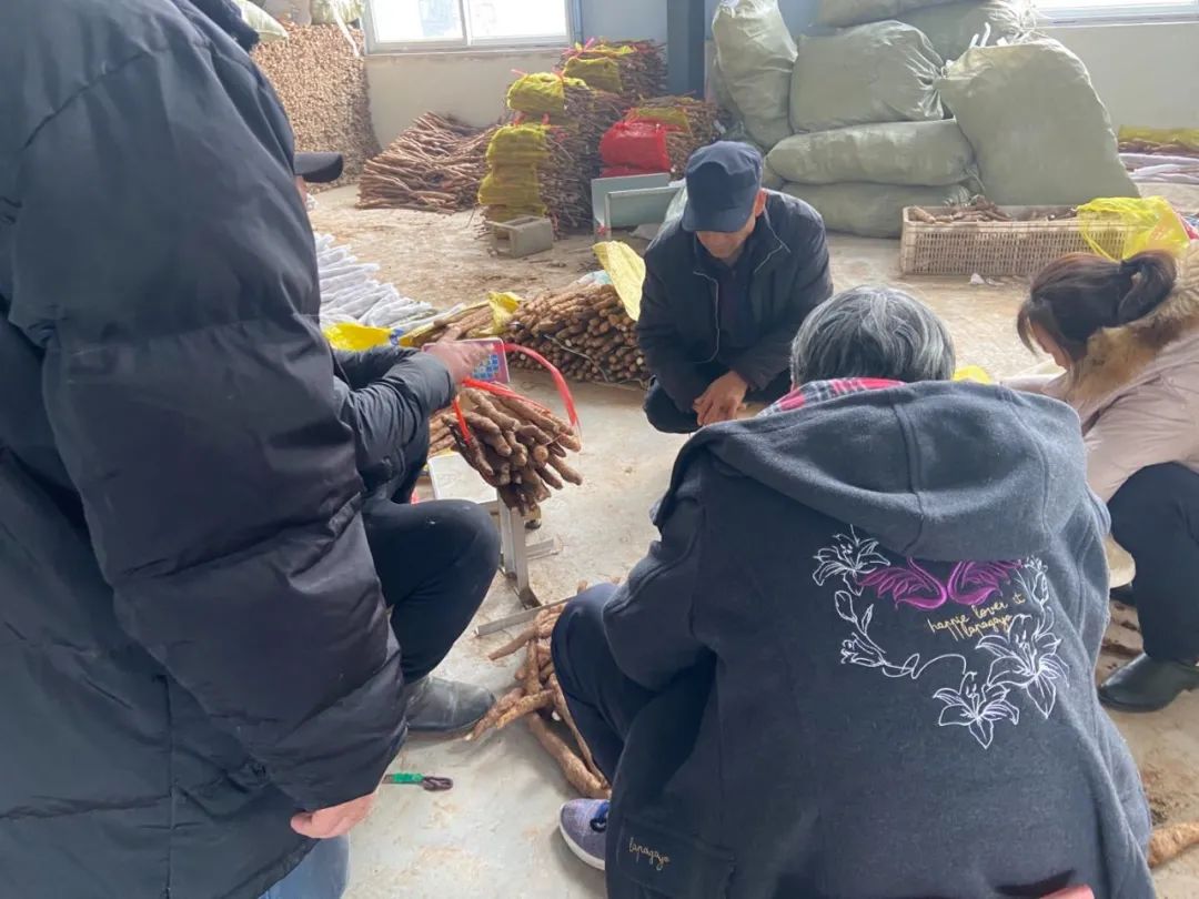 为什么淘宝山药那么便宜,铁棍山药价格差别大的原因